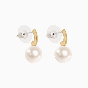 Class macitos sociosques delos lorem a madis