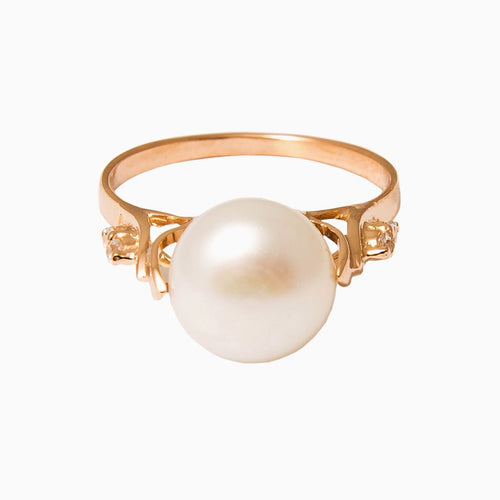 Nulla dinterdum miverra des lacos